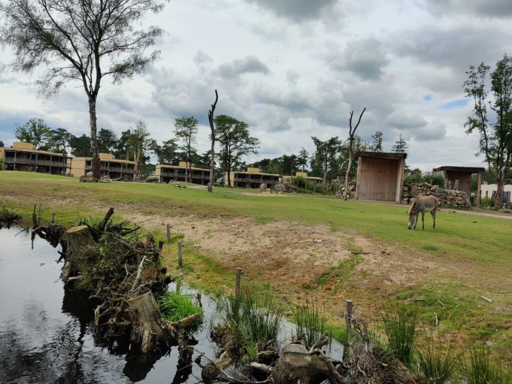 Beekse Bergen uitzicht Savanna Suite